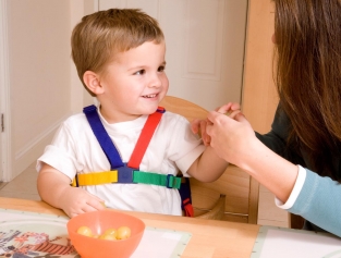 Clippasafe Easy Wash Harness & Rein